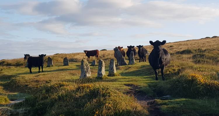 Recorrido a pie por Devon y Cornualles - Active England Tours 2