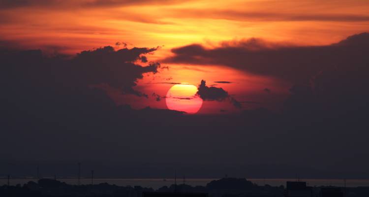 Amazon Jungle - 3 Days - Amazon Amazing Tours 3