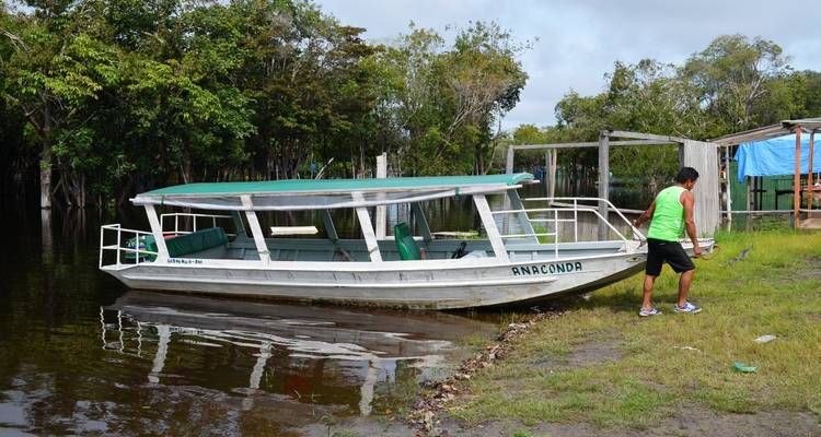 Amazon Jungle - 3 Days - Amazon Amazing Tours 4