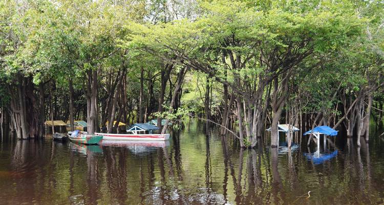 Selva amazónica - 4 días - Amazon Amazing Tours 8