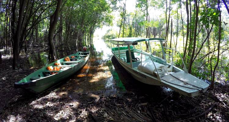 Amazon Jungle (Air-Conditioned) - 2 Days - Amazon Amazing Tours 8