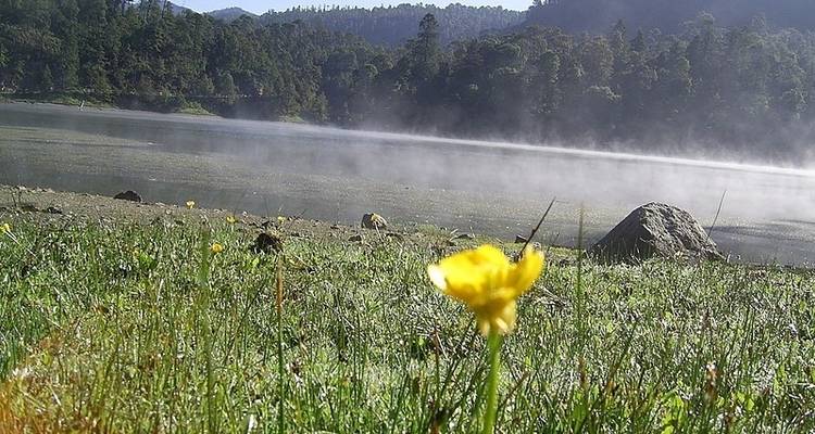 Circuito a Cuernavaca: descubre las gemas del estado de la eterna primavera - Vibe Adventures 1