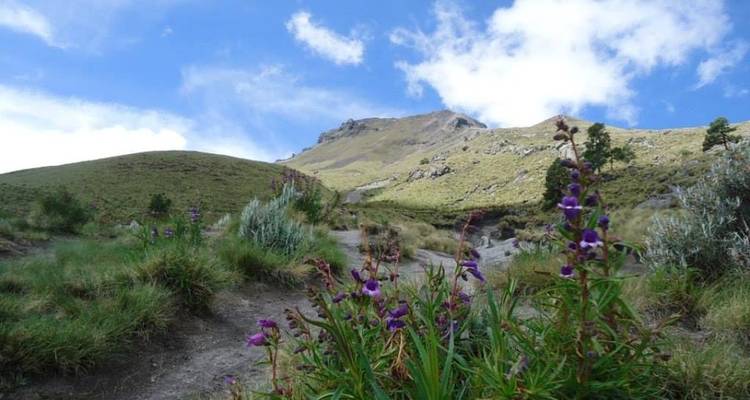 Excursión a Puebla: Explora antiguas ruinas, naturaleza y un majestuoso volcán - Vibe Adventures 1