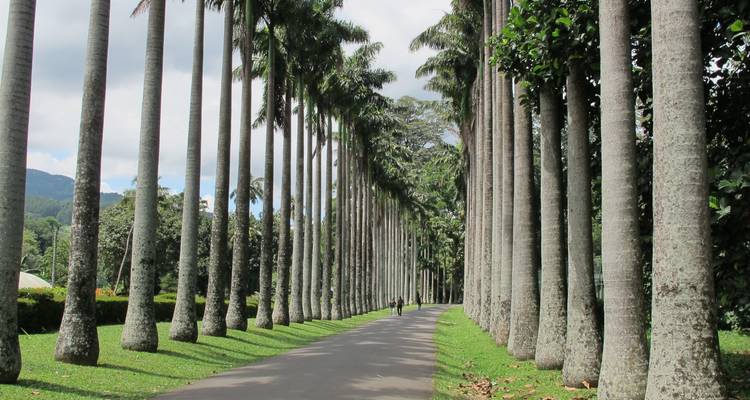 Vacances d'été au Sri Lanka avec 15 jours [vacances de plage 4*]. - showlanka tours  6
