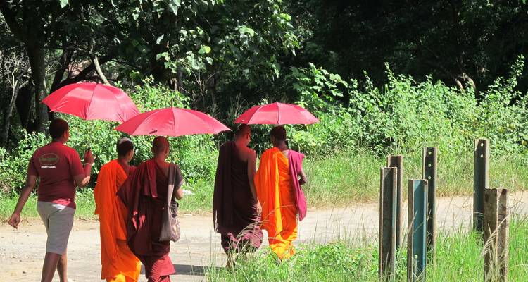 Vacances d'été au Sri Lanka avec 15 jours [vacances de plage 4*]. - showlanka tours  9