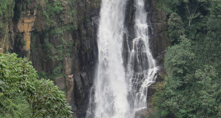 Vacances d'été au Sri Lanka avec 15 jours [vacances de plage 4*]. - showlanka tours  3
