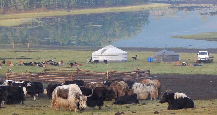 8 jours d'excursion à cheval dans les huit lacs - TTRMongolia 3