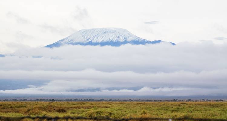 3 Days, 2 Nights Amboseli SGR TRAIN Safari Package with complimentary airport up. - Perfect Wilderness Tours And Safaris 3