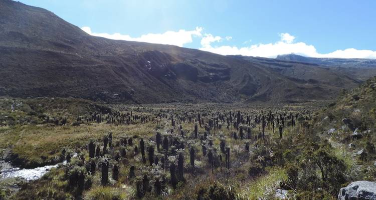 Excursion de 3 jours à El Cocuy depuis Bogota - Impulse Travel 4