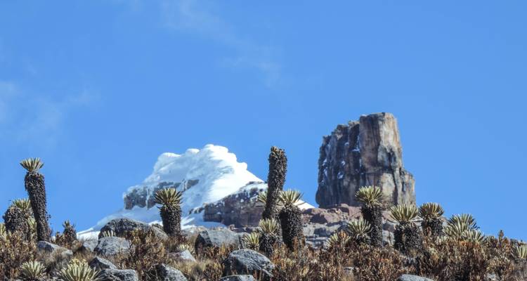 Excursion de 3 jours à El Cocuy depuis Bogota - Impulse Travel 1