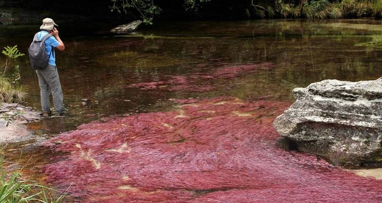 Circuito de 3 Días a Caño Cristales desde Bogotá - Impulse Travel 7