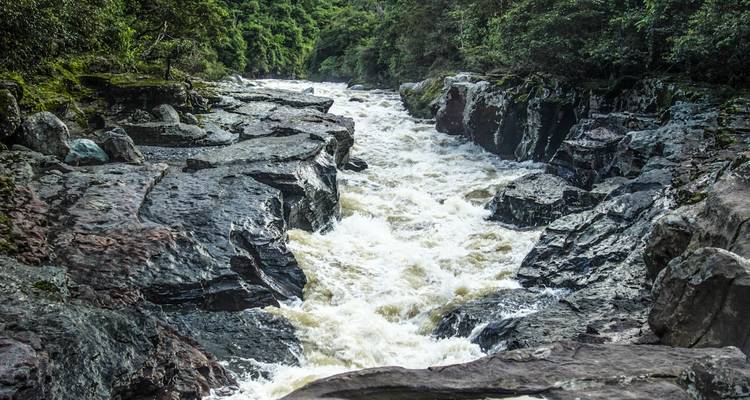 Rivière rapide coulant à travers un terrain rocheux avec un environnement verdoyant luxuriant.