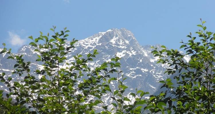 Trek dans la vallée du Langtang - Nepalgram Adventure 3