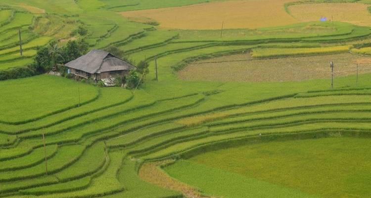 Sapa Easy excursionismo y estancia en hotel 2 días en tren - Crossing Vietnam Tour 1