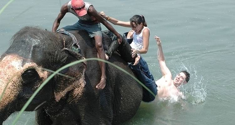 Paquete de lujo de 3 días en Chitwan - Liberty Holidays 7