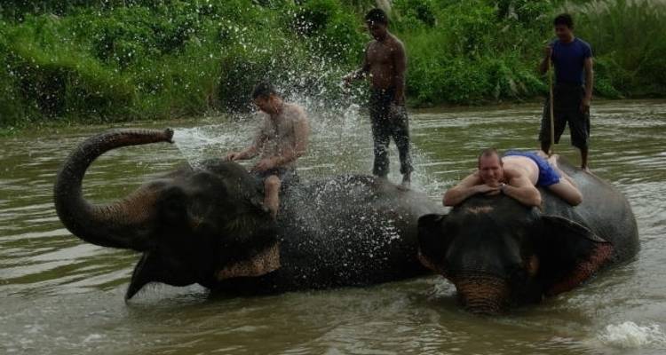 Paquete de lujo de 3 días en Chitwan - Liberty Holidays 9