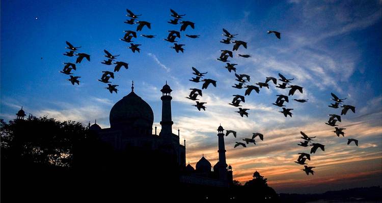 10 jours 9 nuits - Circuit du Triangle d'Or avec Shimla - Golden Taj Tours 3