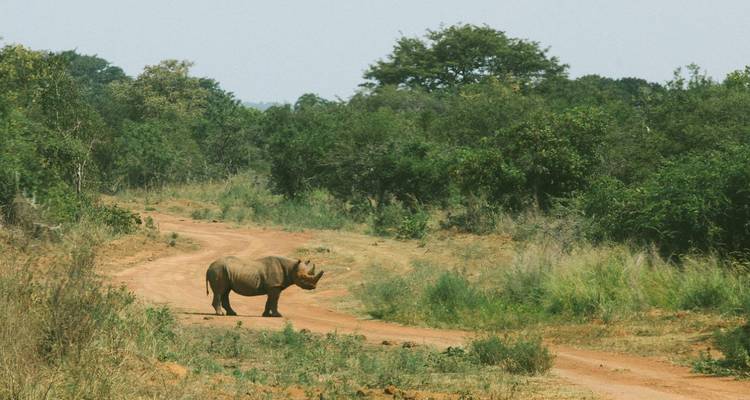 1 journée complète de safari dans le parc national de l'Akagera - Ubuntu Voyages 1