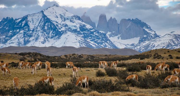 Nature sauvage et merveilles : Un voyage de Santiago à Ushuaia - People Travel and Experience 4