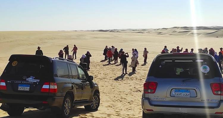 Circuit dans le désert avec camp de luxe : Circuit de 8 jours au Caire, à l'Oasis et à Louxor - Luxor Private Tour 1