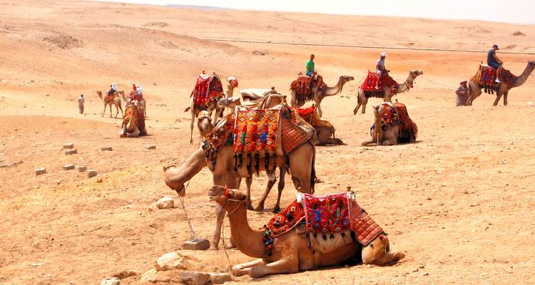Circuit dans le désert avec camp de luxe : Circuit de 8 jours au Caire, à l'Oasis et à Louxor - Luxor Private Tour 8