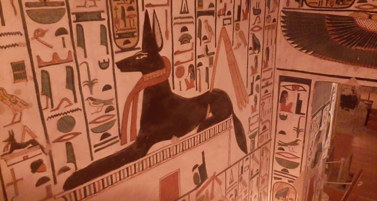 Jeroglíficos egipcios detallados con una representación de Anubis.