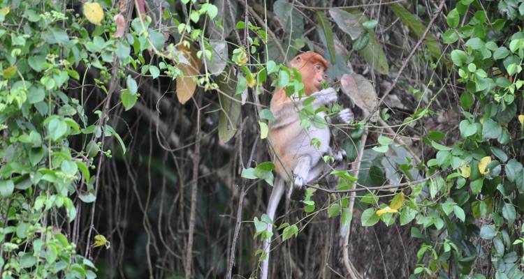Circuit au Belize : Aventures exaltantes dans un paradis tropical - Vibe Adventures 9