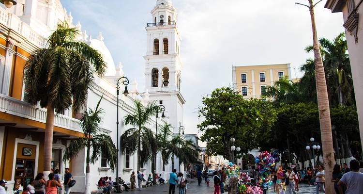 Veracruz Tour: Travel Mountains, Enchanting Cascades and Know the Coast Culture - Vibe Adventures 4