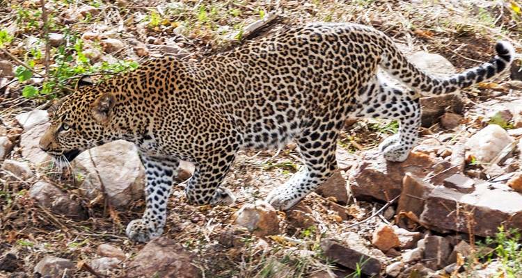 3 Day Crater Tour Lake Manyara and Tarangire National Park - Meru Slopes Tours and Safaris ltd 2