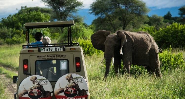 6 Days Migration Safari (Ngorogoro Crater / Ndutu / Central Serengeti) - Meru Slopes Tours and Safaris ltd 4