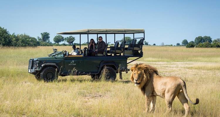 3 Day Serengeti National Park and Ngorongoro Crater Tour - Meru Slopes Tours and Safaris ltd 6