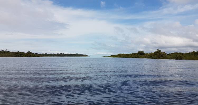 Jungle amazonienne - climatisée - 3 jours - Amazon Amazing Tours 4