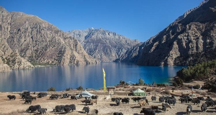 Lower Dolpo Trek-15 days - White Hill Adventure Treks and Expedition Pvt Ltd 1