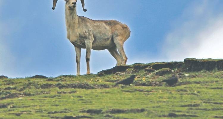 Lower Dolpo Trek-15 days - White Hill Adventure Treks and Expedition Pvt Ltd 2