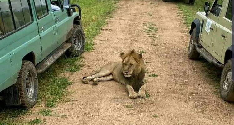 Budget camping safari at Gombe National Park - Lonely Site Tours & Safari 4