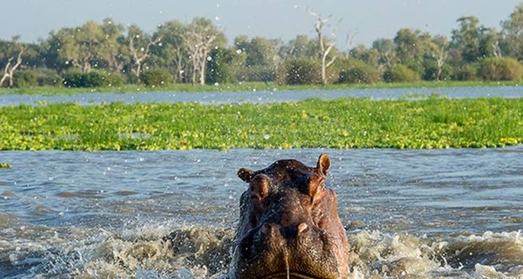 Budget camping safari at Gombe National Park - Lonely Site Tours & Safari 2