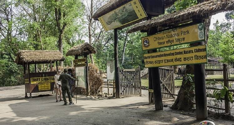 Safari por la selva en Chitwan - Amazing Authentic Treks  6