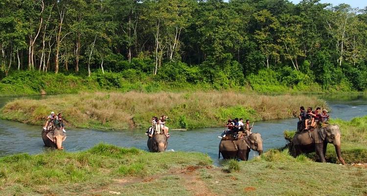 Safari por la selva en Chitwan - Amazing Authentic Treks  4