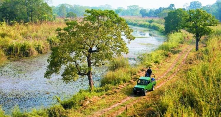 Safari por la selva en Chitwan - Amazing Authentic Treks  8