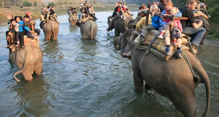 Safari por la selva en Chitwan - Amazing Authentic Treks  3