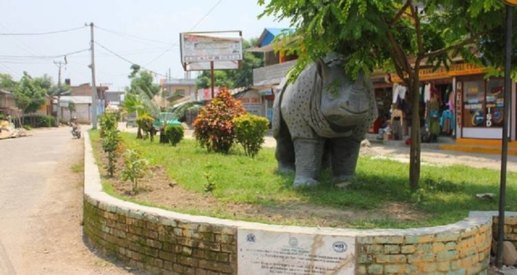Safari por la selva en Chitwan - Amazing Authentic Treks  9