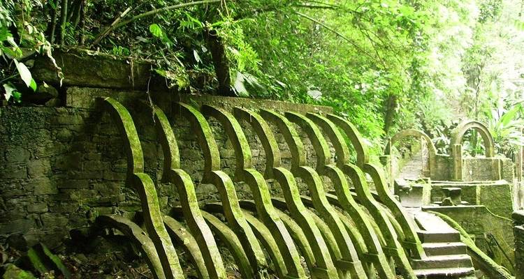 Structures de pierre couvertes de mousse au milieu d'une végétation luxuriante