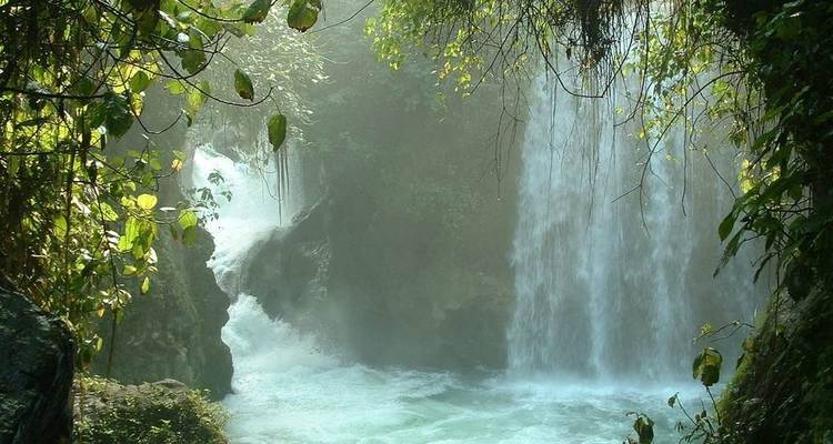 Cascade enchanteresse entourée d'une végétation luxuriante