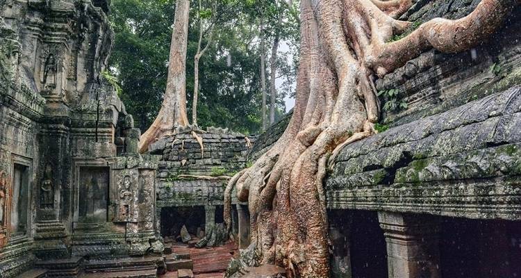 Circuit de 10 jours au sud du Vietnam et au Cambodge - Vietnam Travel Top 2