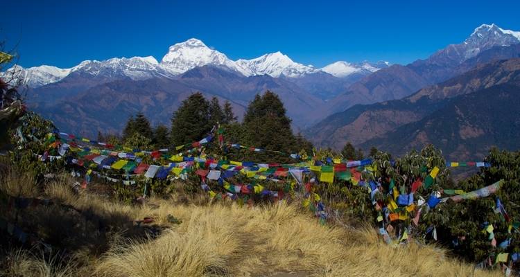Ghorepani Poon Hill Sunrise Trek - Unique Adventure International Pvt. Ltd. 4