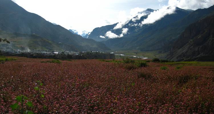 Trek du circuit de l'Annapurna - Unique Adventure International Pvt. Ltd. 2