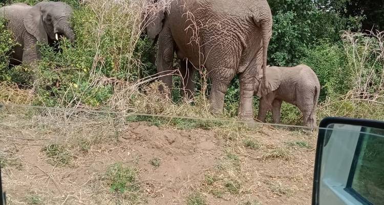 Safari de 3 jours et 2 nuits à Ol Pejeta Conservancy depuis Nairobi avec prise en charge gratuite à l'aéroport. - Perfect Wilderness Tours And Safaris 7