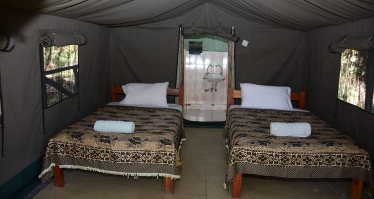 5 jours, 4 nuits au Kenya et en Tanzanie pour un safari en camping privé avec prise en charge gratuite à l'aéroport. - Perfect Wilderness Tours And Safaris 10