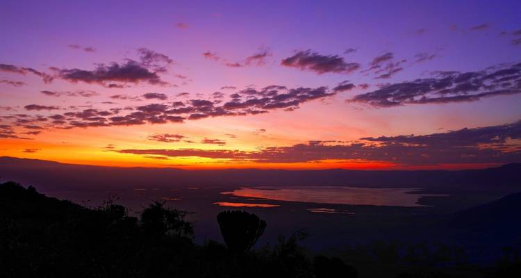 7 jours et 6 nuits de safari au Masai Mara, au lac Nakuru, au lac Naivasha et à Amboseli, avec une première nuit gratuite à l'hôtel After 40 de Nairobi. - Perfect Wilderness Tours And Safaris 9
