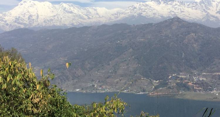 Uitzicht op bergen en een meer met gebladerte op de voorgrond.